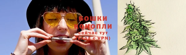 амф Верхний Тагил
