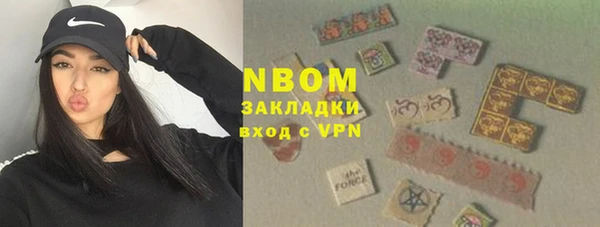 амф Верхний Тагил