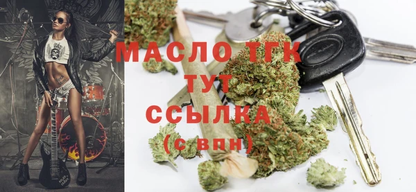 амф Верхний Тагил