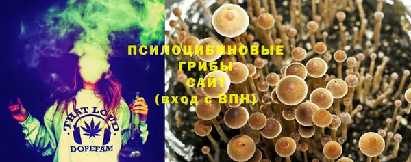 амф Верхний Тагил