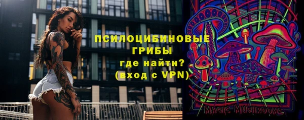 амф Верхний Тагил