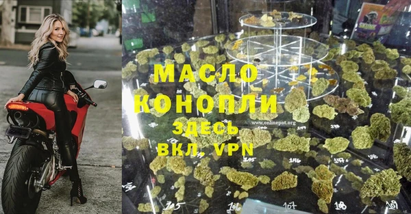 амф Верхний Тагил