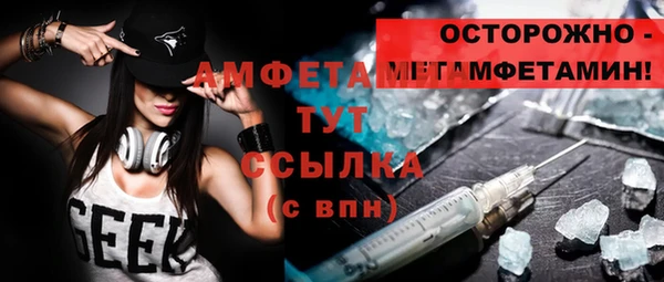 амф Верхний Тагил