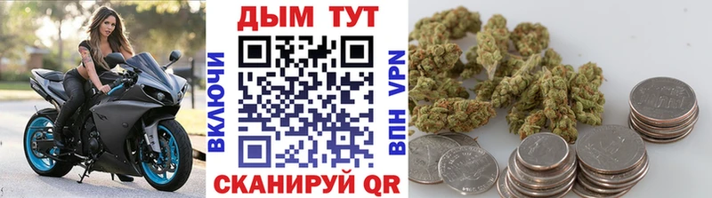 МАРИХУАНА семена  Чекалин 